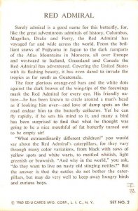 Cecropia - non  backing Family Satuniidae, Silk Moths Unused 