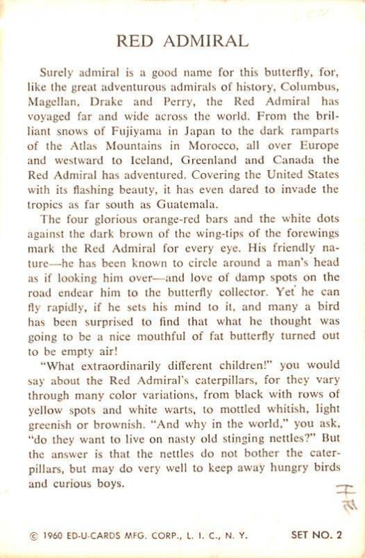 Cecropia - non  backing Family Satuniidae, Silk Moths Unused 