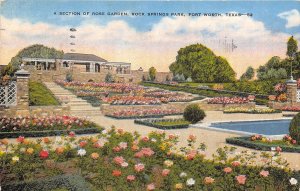 Fort Worth Texas 1944 Postcard Rose Garden Rock Springs Park