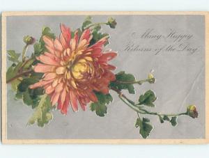 Unused Divided-Back BEAUTIFUL PINK FLOWER - HAPPY RETURNS o9562