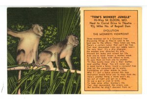 MO - Eldon. Tom's Monkey Jungle, Evolution- The Monkeys' Viewpoint