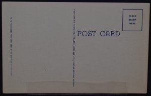 Black Hills, SD - Tunnel and Bridge on Iron Mtn Rd