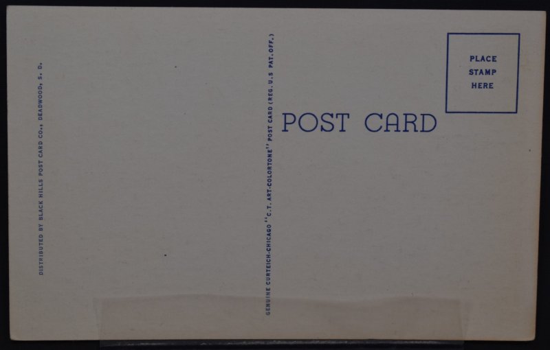 Black Hills, SD - Tunnel and Bridge on Iron Mtn Rd