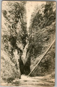 Oneonta Gorge, Columbia River Vintage Postcard F48