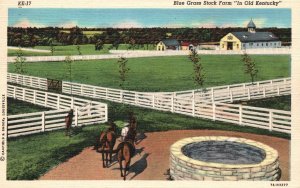 Vintage Postcard 1942 Blue Grass Stock Farm In Old Kentucky Louisville KY