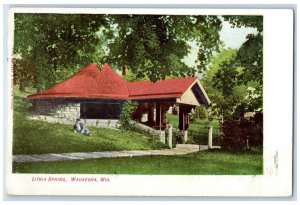 1908 Lithia Spring Exterior Building Waukesha Wisconsin Vintage Antique Postcard