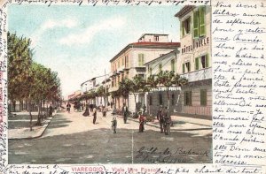 VIAREGGIO LUCCA ITALY~VIALE UGO FOSCOLO~1900s POSTCARD