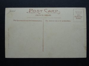 Devon SALCOMBE Fore Street shows SHIPWRIGHTS ARMS & TEMPERANCE HOTEL c1905 PC