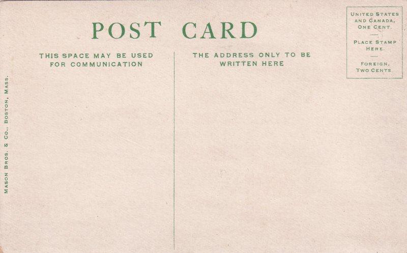 Washington Elm Cambridge Massachusetts MA Postcard C45
