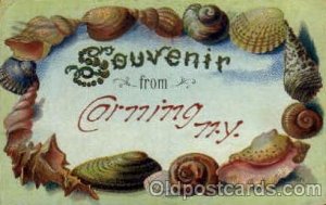 Cornning, NY, USA Shells, Shell Border, 1908 crease left top corner, some cor...