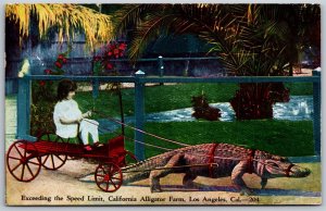 Vtg Los Angeles CA California Alligator Farm Pulling Girl Wagon 1910s Postcard