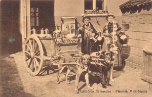 Belgium Laitiere flamande Flemish Milk Maids Seller Mastiff Dog postcard B914