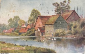 River CHESS at CHESHAM, Bucks., England, 1900-10s; TUCK 7420