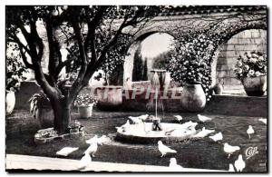 Modern Postcard Saint Paul De Vence La Colombe d & # 39Or