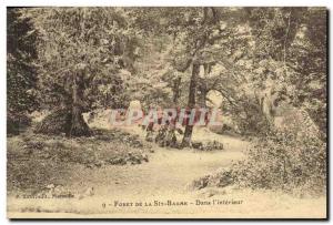 Old Postcard Forest Tree of Sainte Baume In & # 39interieur