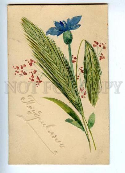 143913 GREETINGS Flowers spikelet HAND MADE postcard RARE old