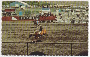 BUCKING BRONCO, WILLIAMS LAKE STAMPEDE