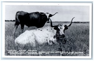 Valentine Nebraska NE Postcard RPPC Photo Texas Long Horns US Nat'l Wild Life