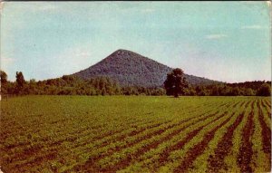 Postcard MOUNTAIN SCENE Little Rock Arkansas AR AO9167