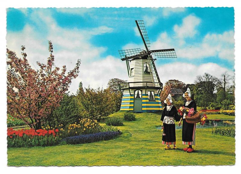 Holland Netherlands Flowers Windmills Women Traditional Costume 4X6 Postcard