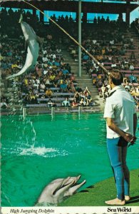 USA Florida Orlando Sea World High-Jumping Dolphin Vintage Postcard BS.10