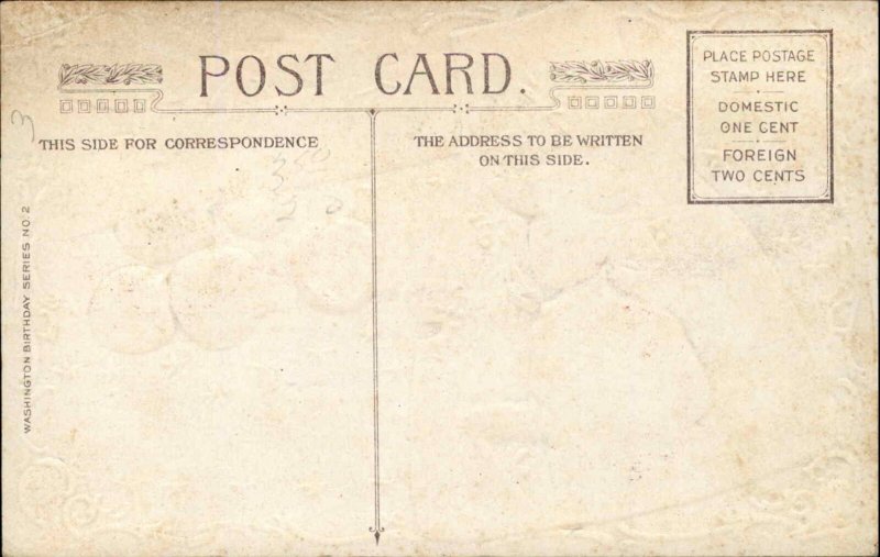 George Washington as a Young Man Axe Hatchet Patriotic c1910 Postcard