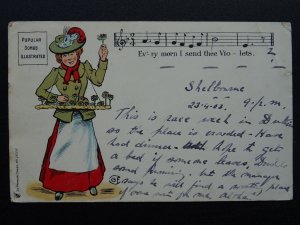 Popular Song Illustrated EVERY MORN I SEND THEE VIOLETS c1903 UB Postcard