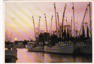 Florida Tarpon Springs Fishing Boats Along The Dock At Sunset