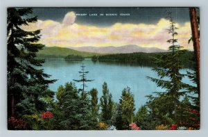 ID- Idaho, Priest Lake, Aerial Scenic View, Linen Postcard