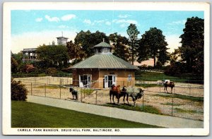 Vtg Baltimore Maryland MD Camels Park Mansion Druid Hill Park 1920s Postcard