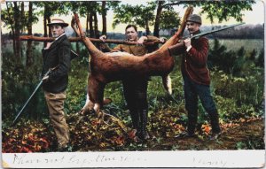 USA Hunters With A Deer Vintage Postcard C094