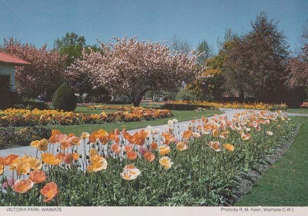 Victoria Park Waimate New Zealand Womens Institute Postcard