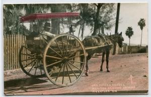 Horse Buggy Las Típicas Arañas Mazatlan Mexico Tinted RPPC Real Photo postcard