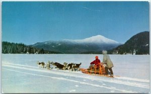 M-3923 Dog Team White Face Mountain in Background Lake Placid New York