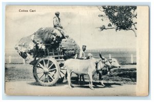 c1910 Cotton Cart Oxen Wagon Workers Middle East Egypt Israel Postcard