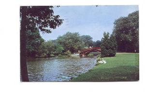 Swans, Rustic Bridge, Avon Park Stratford, Ontario Used 1961