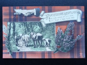 Scotland Tartan Greeting BONNIE SCOTLAND & HAND SHAKE / ACROSS 2 c1906 Postcard