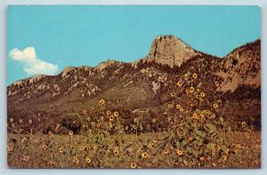 Postcard NM Cimarron Philmont Boy Scout Ranch BSA Tooth of Time Mountain O02