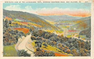 NEW MILFORD PA~BIRD'S EYE VIEW OF THE LACKAWANNA TRAIL~MONTROSE ROAD POSTCARD