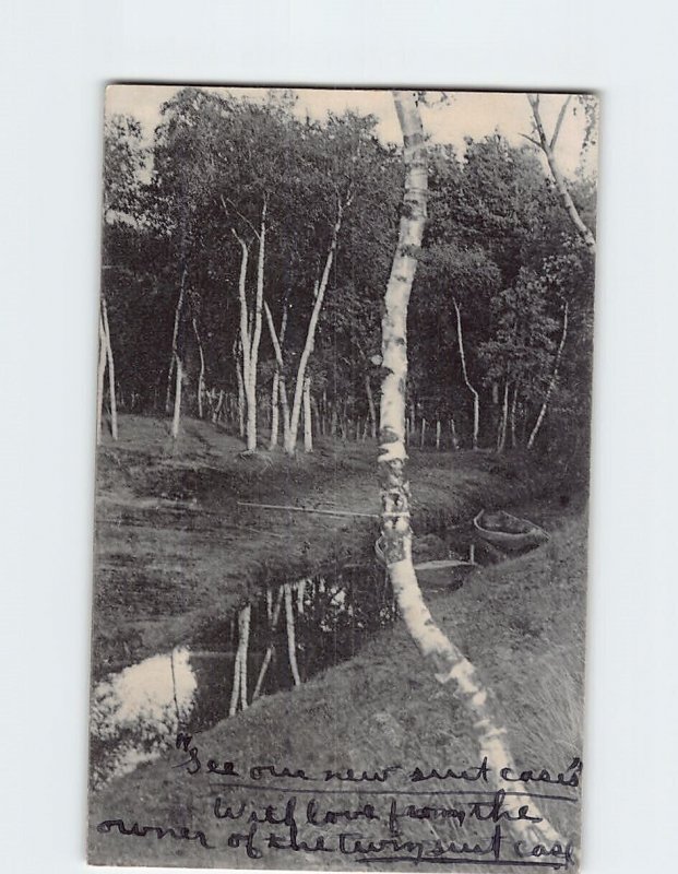 Postcard Birch Trees River Boats Landscape Scenery