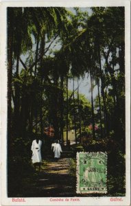 GUINEA-BISSUA 11 Vintage AFRICA Postcards (L3712)