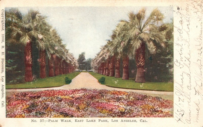 Vintage Postcard 1907 Palm Walk East Lake Recreation Park Los Angeles California