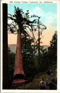 Felling Timber in Tuloume County CA Vintage Postcard S65