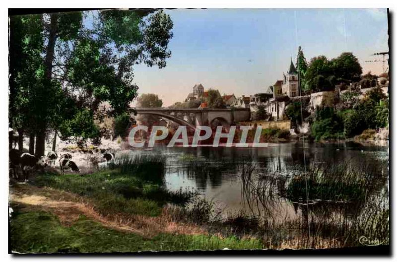 Old Postcard La Roche Posay Vienne les Bains edges of Creuse Cows