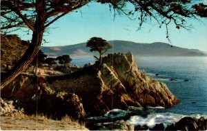 Midway Point,17 Mile Drive,Monterey Peninsula,CA BIN