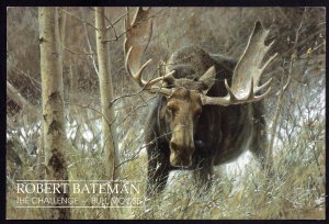 The Challenge - Bull Moose - Painting 1989 by Robert Bateman Cont'l