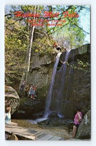 Rock Bridge Canyon Mills Falls Hodges Alabama AL UNP Chrome Postcard F18