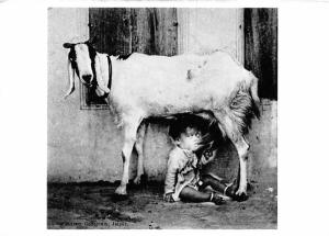 Baby & His Goat - Jaipur