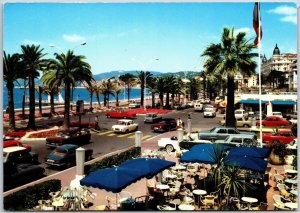 La Cote D'Azur Cannes La Croisette France Restaurant Beach Palms Canopy Postcard