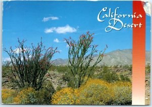 Postcard - California Desert